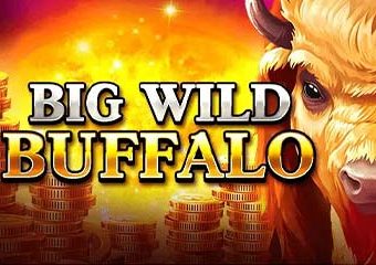 Big Wild Buffalo